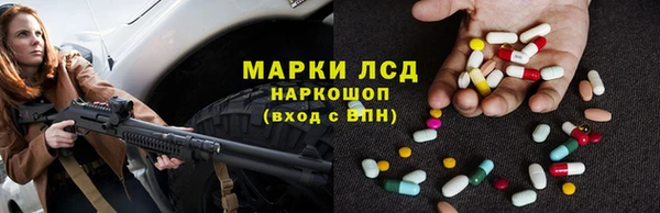 гидра Надым