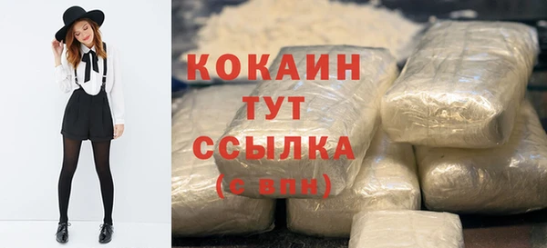 гидра Надым