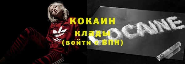МДПВ Михайлов