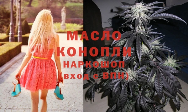 МДПВ Михайлов