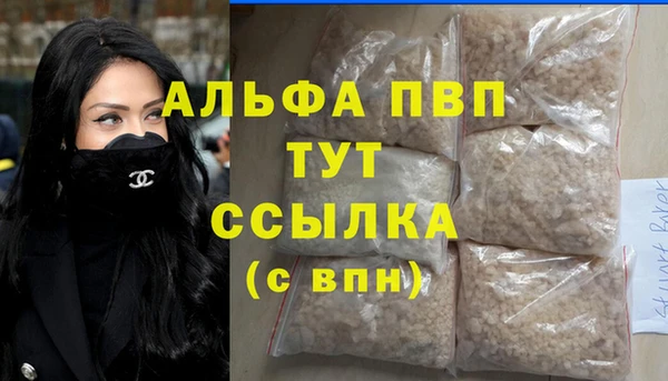 гидра Надым