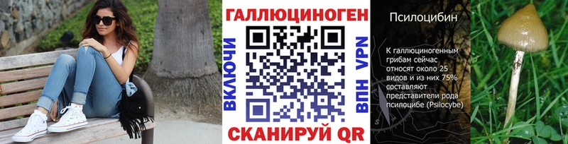 цена   Ульяновск  Псилоцибиновые грибы GOLDEN TEACHER 
