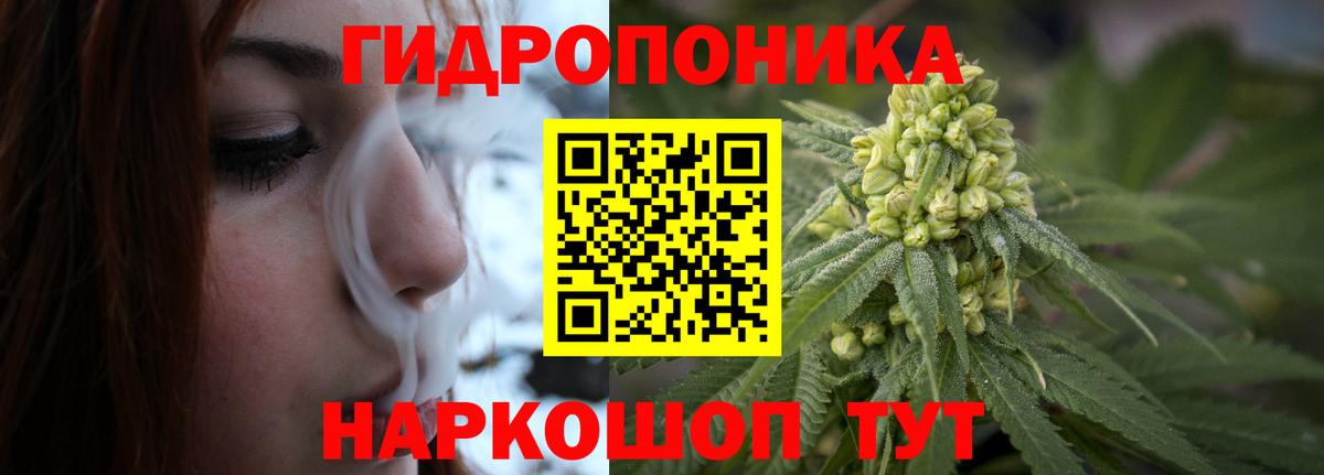 МАРИХУАНА планчик  Бошки Шишки OG Kush  Марихуана план  Ульяновск  Бошки Шишки планчик 